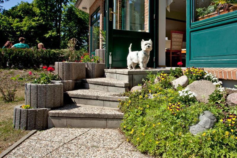 Nationalparkhotel Kranichrast Schwarzenhof Zewnętrze zdjęcie