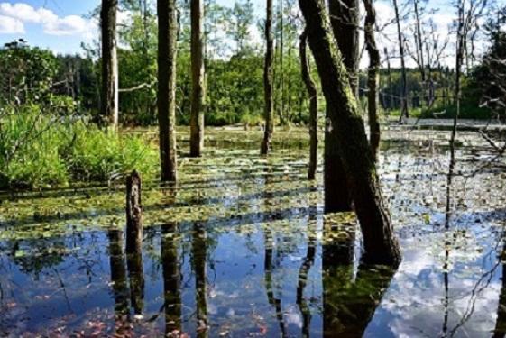 Nationalparkhotel Kranichrast Schwarzenhof Zewnętrze zdjęcie