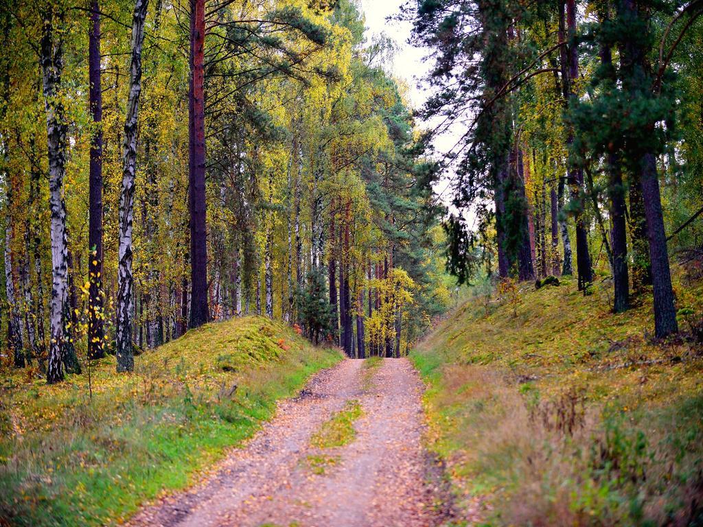Nationalparkhotel Kranichrast Schwarzenhof Zewnętrze zdjęcie